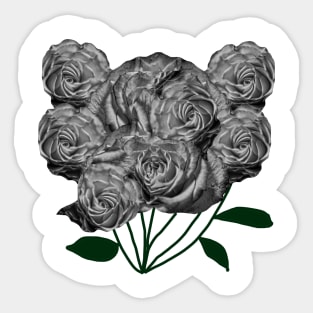 Black and White Tea Roses Sticker